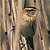 Phragmite aquatique
