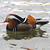 Canard mandarin