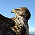 Buse variable