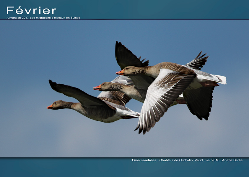 ../catalogue/02-fevrier.jpg