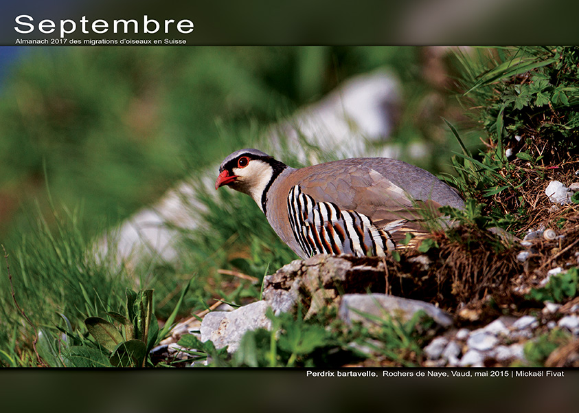 ../catalogue/09-septembre.jpg