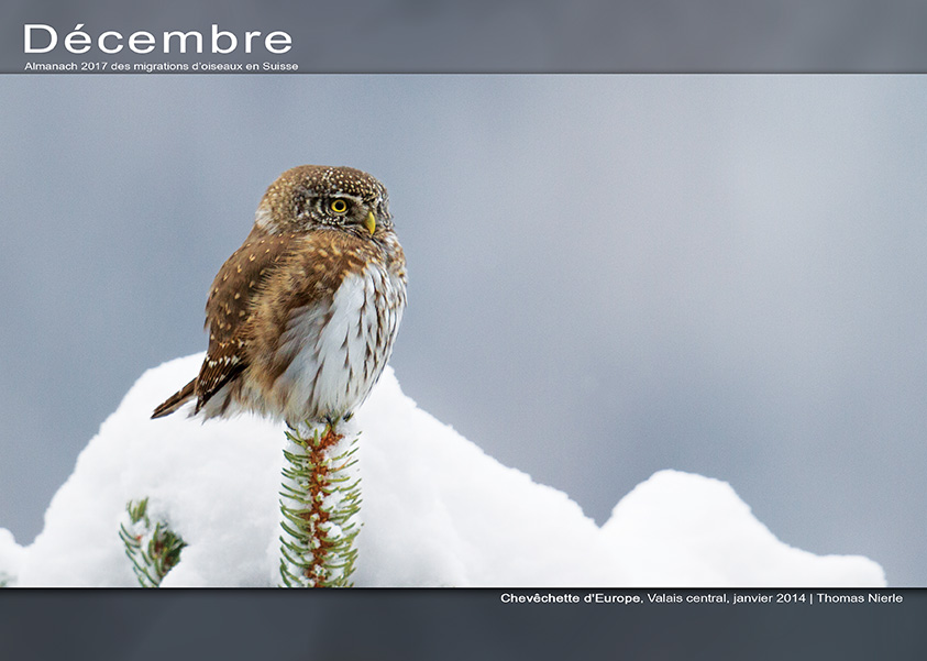 ../catalogue/12-decembre.jpg