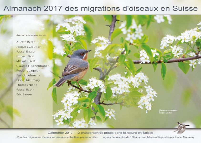 almanach-migrations-oiseaux-2017.jpg