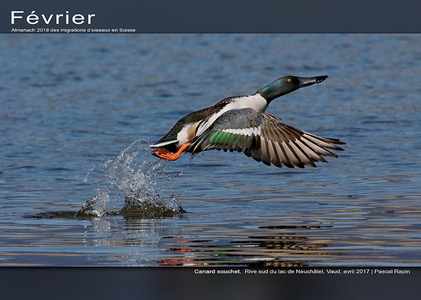 ../catalogue/02-fevrier.jpg