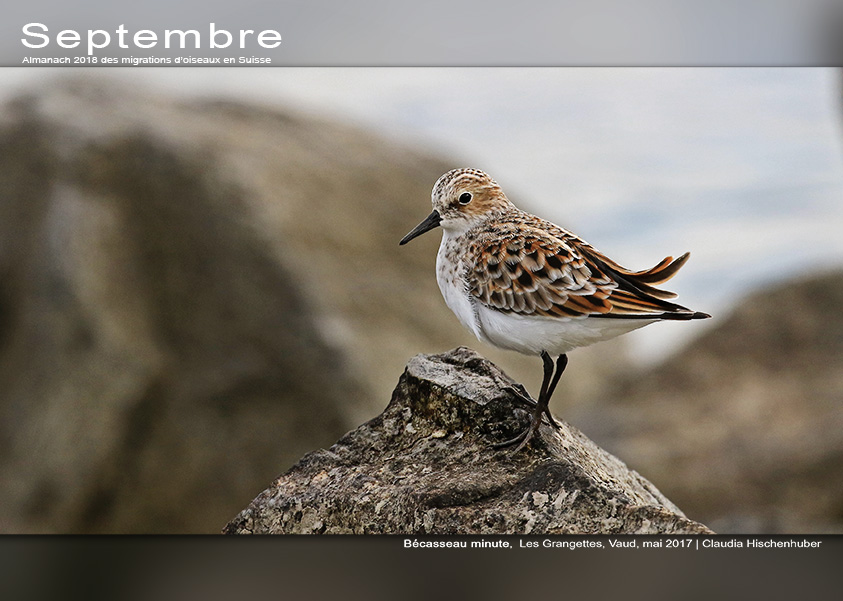 ../catalogue/09-septembre.jpg