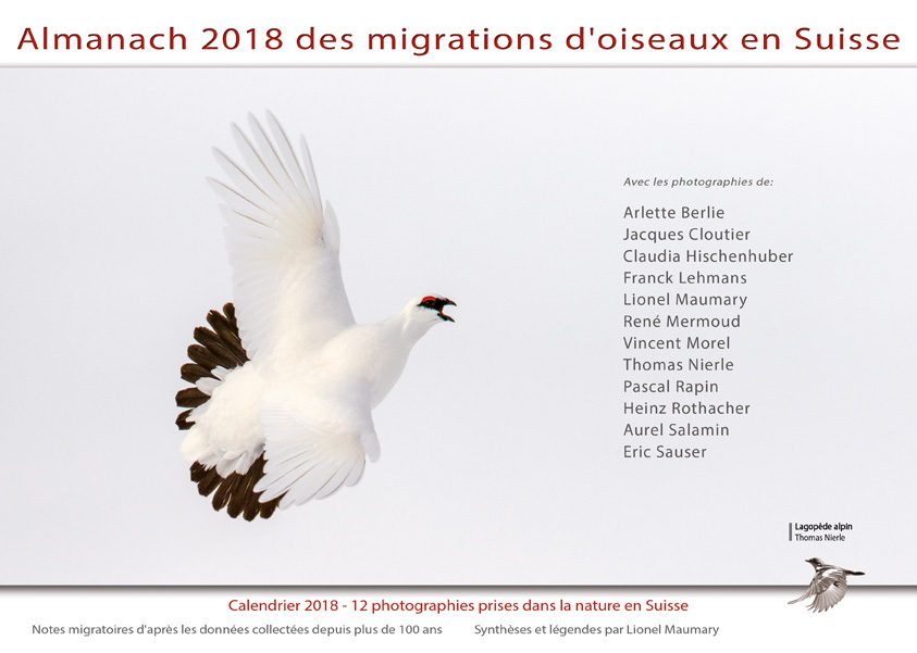 almanach-migrations-oiseaux-2018.jpg