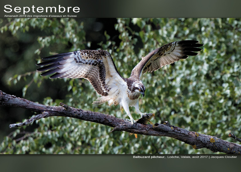 ../catalogue/09-septembre.jpg