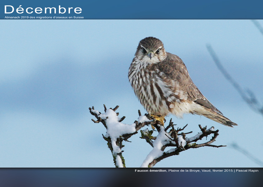 ../catalogue/12-decembre.jpg