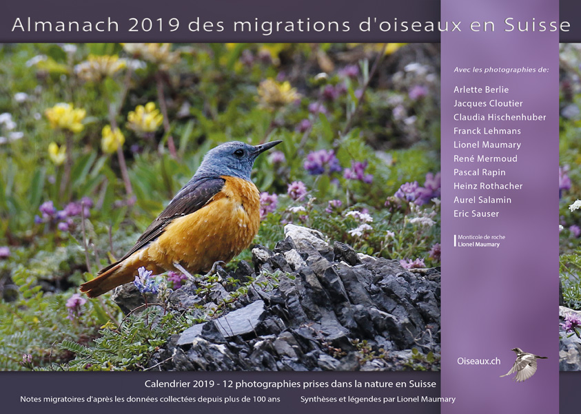 almanach-migrations-oiseaux-2019.jpg