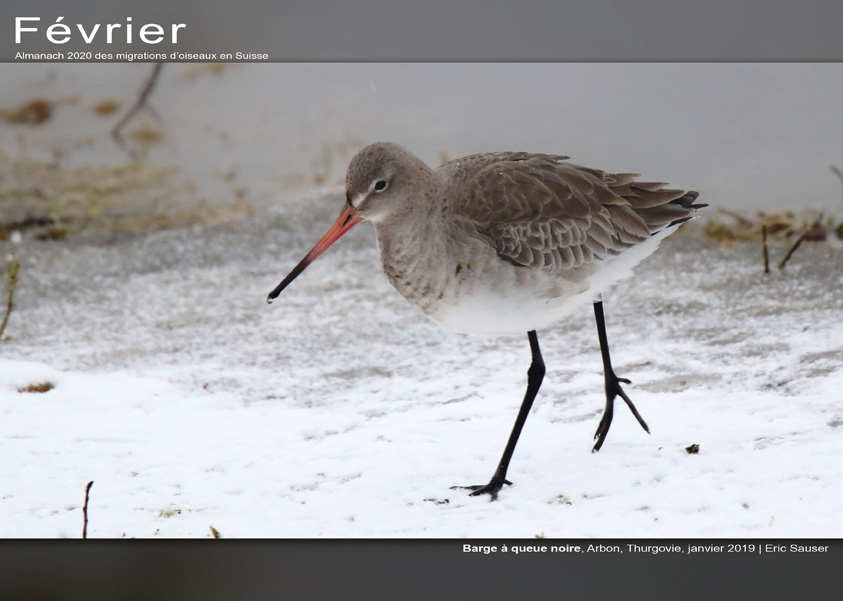 ../catalogue/02-fevrier.jpg