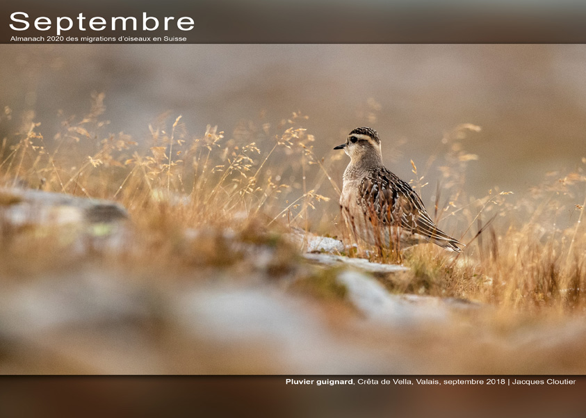 ../catalogue/09-septembre.jpg