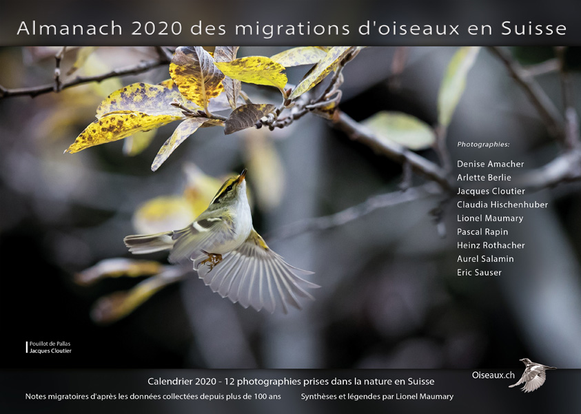 almanach-migrations-oiseaux-2020.jpg