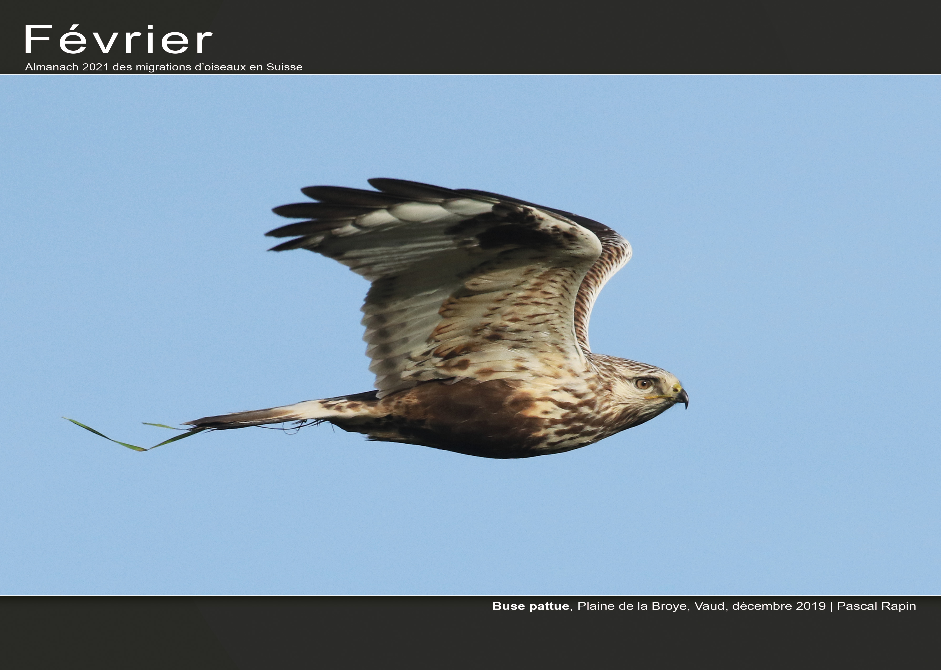 ../catalogue/02-fevrier.jpg