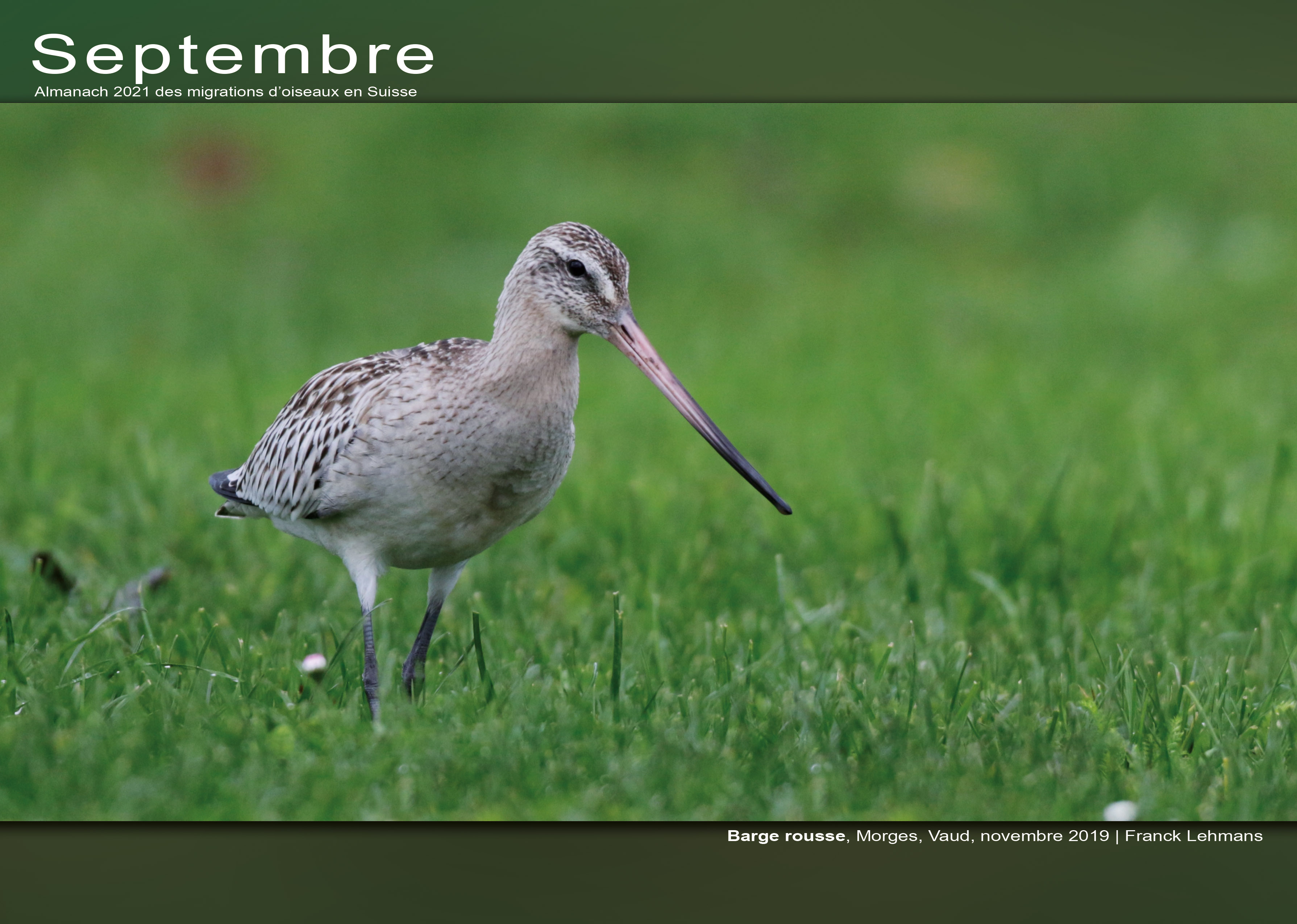 ../catalogue/09-septembre.jpg