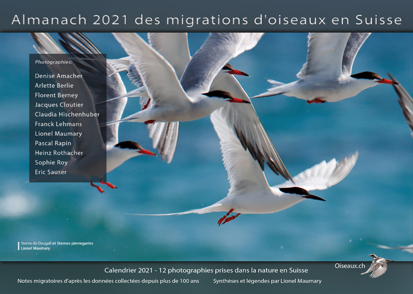 almanach-migrations-oiseaux-2021.jpg