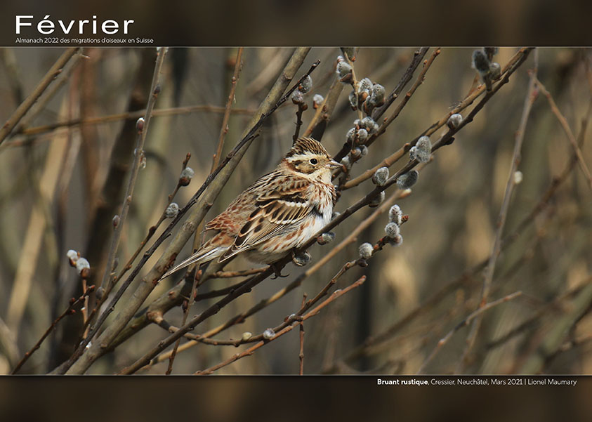 ../catalogue/02-fevrier.jpg