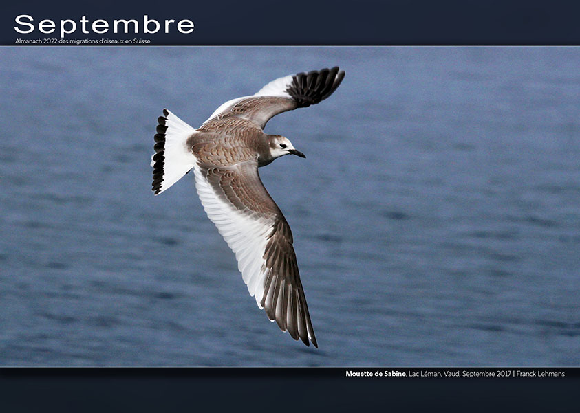 ../catalogue/09-septembre.jpg