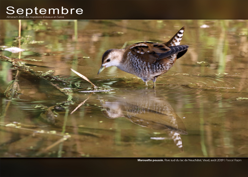../catalogue/09-septembre.jpg