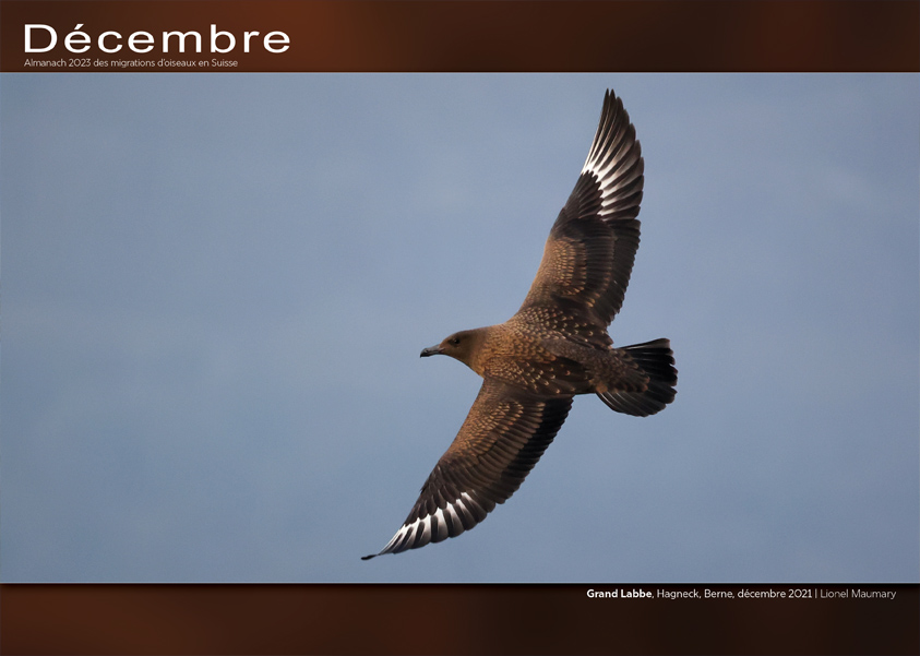 ../catalogue/12-decembre.jpg
