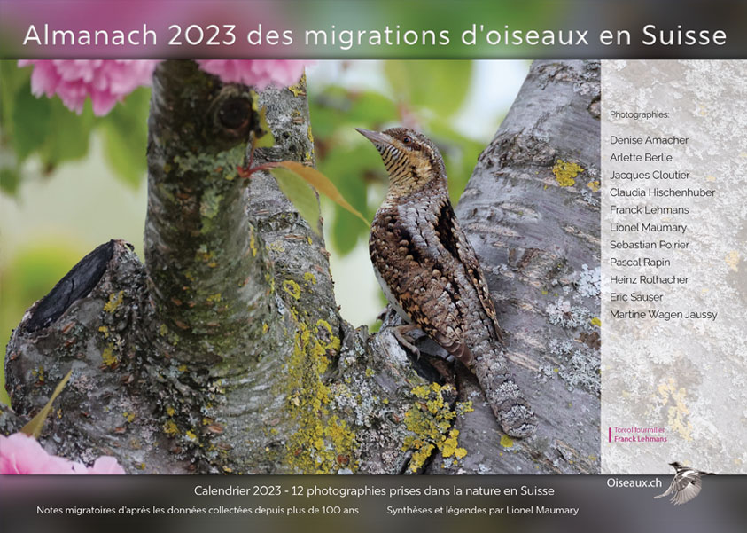 almanach-migrations-oiseaux-2023.jpg