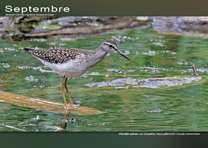 ../catalogue/09-septembre.jpg