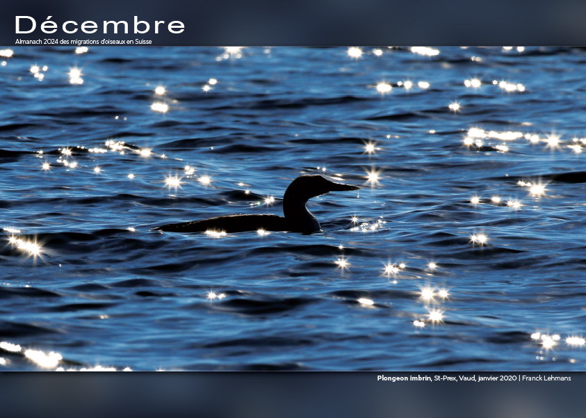 ../catalogue/12-decembre.jpg