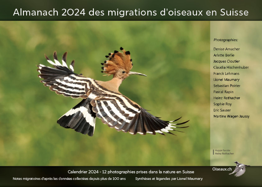 almanach-migrations-oiseaux-2024.jpg