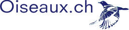 Oiseaux.ch
